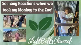 Taking my Reborn Monkey (Chimpanzee) to the Zoo Again!!
