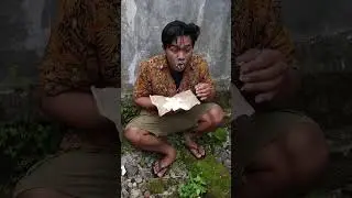 serba lupa