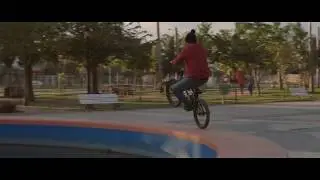 [BMX] CXW - Pishoora Life III