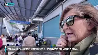 Animali e pandemie, ecco l'inchiesta di 