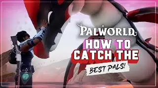 Palworld: How To Get The Best Pals