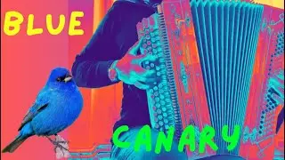 • BLUE CANARY •