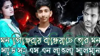 Mon Pinjira (মন পিঞ্জিরা) ।। Bengali lofi #_lofi_music #lofi_and_reverb.।