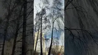 Ветер в Кургане