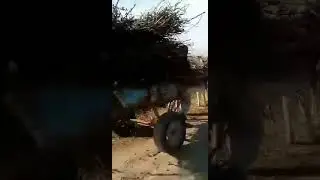 Yangi zapal videolar eshshak blan 😱😱😱😱