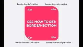CSS how to Set: border-bottom 
