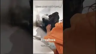 #shortsvideo