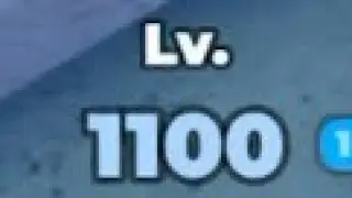 Level 1100 | TDS
