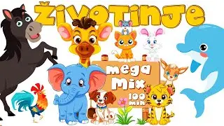 Veseli Svijet Životinja: Edukativna Kompilacija za Najmlađe 📚🎵 Edukativna videa i pjesmice za djecu