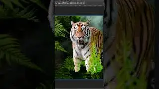 Fondere due immagini con l'intelligenza artificiale di Photoshop