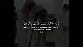 Они уверовали, И их сердца утешаются поминанием Аллаха!   #shorts