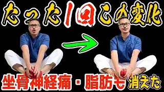 【騙されたと思って】股関節が硬い人は1回やってください！【腰・股関節・膝痛&お腹痩せ&脚痩せ&パンチ・キック力アップまでなった方法】