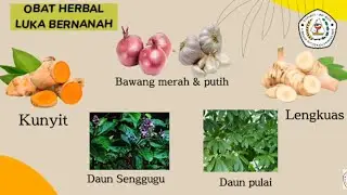 obat herbal luka bernanah