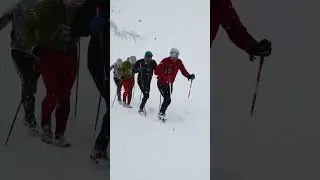 Давай поставим Red Fox Elbrus Race 2023:  яркие моменты фестиваля