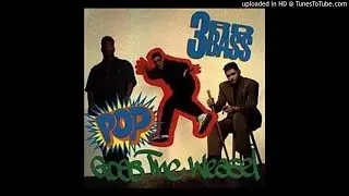 3rd Bass ∙ Pop Goes The Weasel