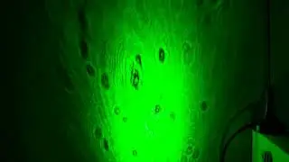 Laser Projection Microscope