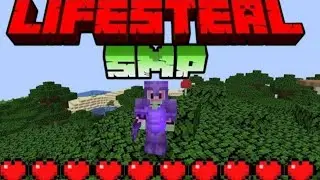This is How I took over a Lifesteal SMP copy