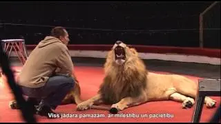 Video, Львы в цирке
