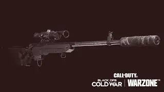 WARZONE: BEST SNIPER SHOTS