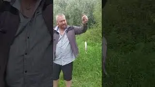 Мини лещик #рыбалка