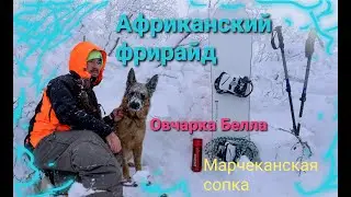 Африканский фрирайд )