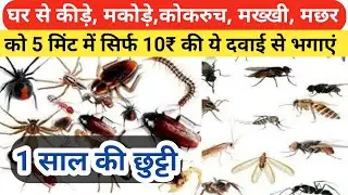 घर से कीड़े मकोड़े को कैसे भगाएं | Kida makoda ko ghar se kaise bhagaye| lal chiti bhagane ka tarika