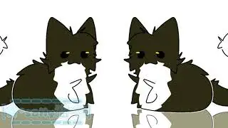 maxwell cat🐱//animation meme