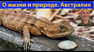 Подземное водохранилище, зверушки и недвижимость. (видео 560)