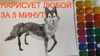 как нарисовать собаку хаски или волчка просто по схеме Артключ