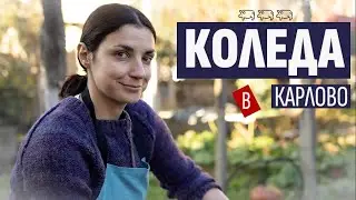 Коледа в Карлово