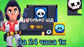 Новый проект только шд ❗️1 часть, апнул за 24 ЧАСА 5К ❗️