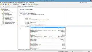 Java Program To Reverse a String Entered By The User