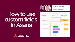 Asana Custom Fields: How to organize your Asana projects