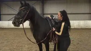 ZADELMAK MAKEN DEEL 2 | Daniella van der Werf