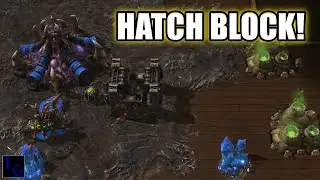 Terran TROUBLES! | StarCraft 2 SC2 Highlight 1v1 Protoss Zerg Viewer Games