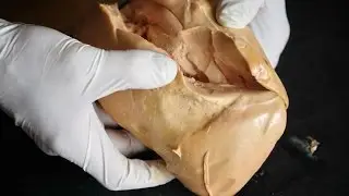 Déveiner un foie gras