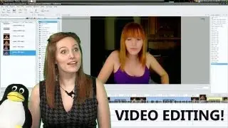 Professional vs Open Source Video Editing