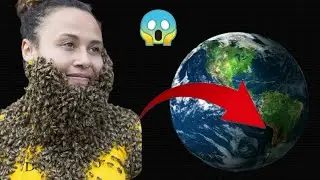Huge Bee on Google Earth! #armkien