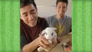 Vine = Zach King!! Bu adam harbiden Vine aleminin KRALI 2017 YENİ VİNELAR