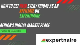 Expertnaire for beginners; How To Get Paid Every Friday On Expertnaire