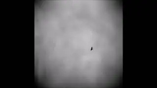 Seasonal - Perfect Illusion