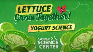 Yogurt Science — Lettuce Grow Together