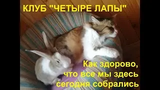 27/07/2021_Встреча N2 в клубе "Четыре лапы"