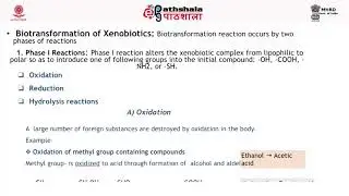Xenobiotics