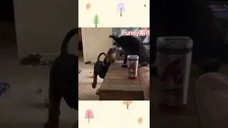 😂 🤣🥰 😘