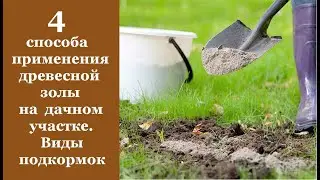 ❀ 4  способа применения древесной золы на дачном участке. Виды подкормок