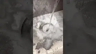Kitchen sink clean pt. 2 