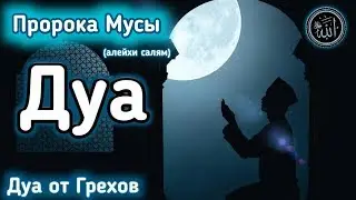 ✔Это ДУА стирает все ваши грехи и дает вам благословения Аллаха, Ин Ша Аллах.