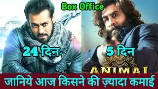 Animal Box Office Collection | Tiger 3 Box Office Collection, Animal Vs Tiger 3 Collection,