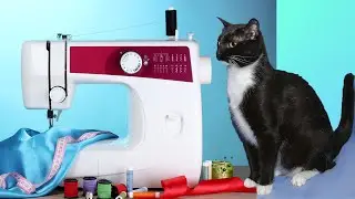 Кошка шьет на машинке